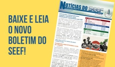 Novo boletim do SEEF destaca conquistas da categoria e temas centrais para a classe trabalhadora