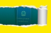 O que muda, na prática, com a carteira verde e amarela?
